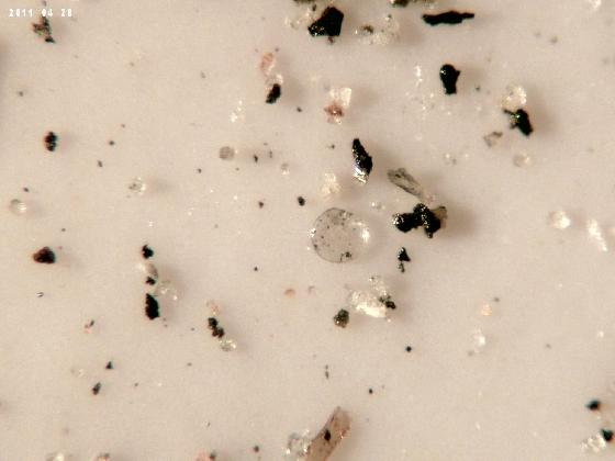ECHT 21 B MICROPARTICULES ECHT 21 B MICROPARTICULES