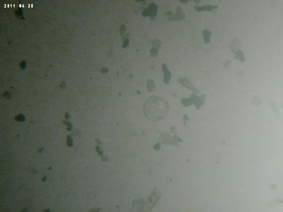 ECHT 21 B MICROPARTICULES ECHT 21 B MICROPARTICULES