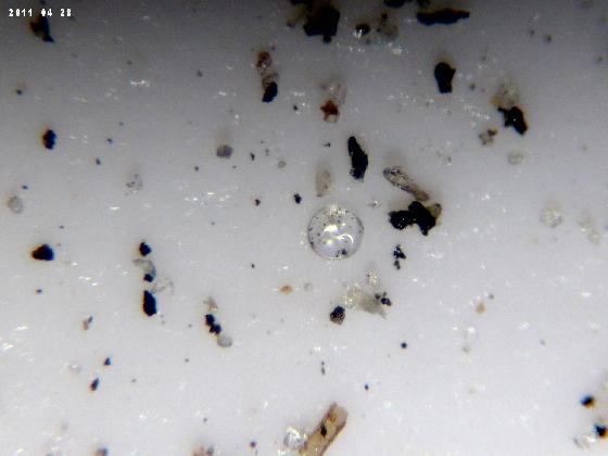 ECHT 21 B MICROPARTICULES 
