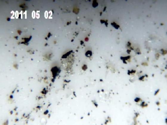 ECHT 26 B MICROPARTICULE ECHT 26 B MICROPARTICULE