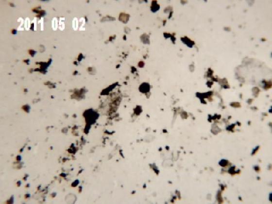 ECHT 26 B MICROPARTICULES