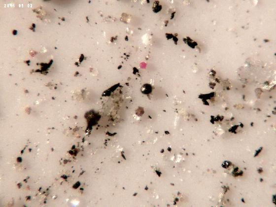 ECHT 26 B MICROPARTICULES ECHT 26 B MICROPARTICULES
