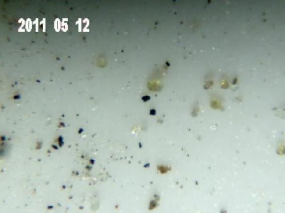 ECHT 29 B MICROPARTICULES ECHT 29 B MICROPARTICULES