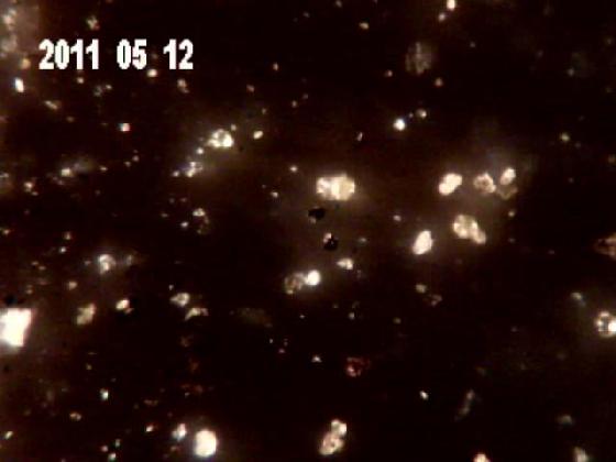 ECHT 29 B MICRO PARTICULES