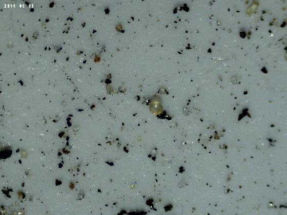 ECHT 3O B MICROPARTICULES ECHT 3O B MICROPARTICULES