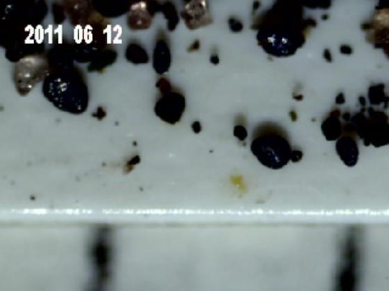 ECHT 4 DUNES MICROPARTICULES ECHT 4 DUNES MICROPARTICULES