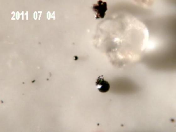 ECHT 12 DUNES MICROPARTICULES ECHT 12 DUNES MICROPARTICULES