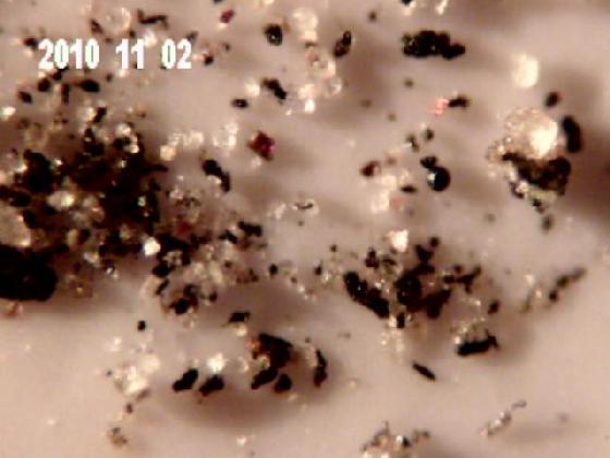 ECHT 1 B  MICROPARTICULES