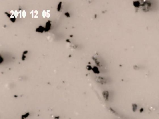 ECHT 9 B MICROPARTICULES ECHT 9 B MICROPARTICULES