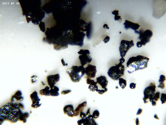 ECHT 10 DUNES MICROPARTICULES ECHT 10 DUNES MICROPARTICULES