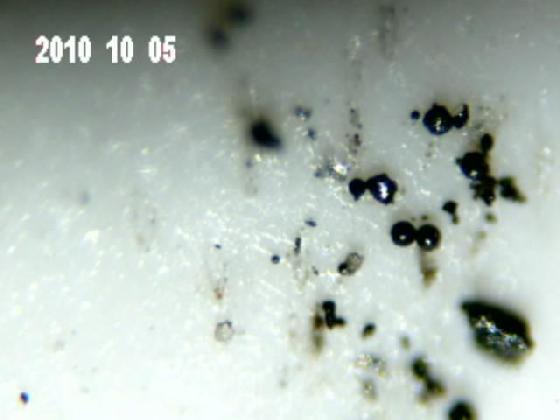 ECHT SEDIMENTS 1 MICROPARTICULES ECHT SEDIMENTS 1 MICROPARTICULES