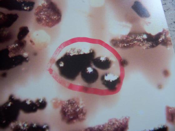ECHT 17 DUNES MICROPARTICULES ECHT 17 DUNES MICROPARTICULES