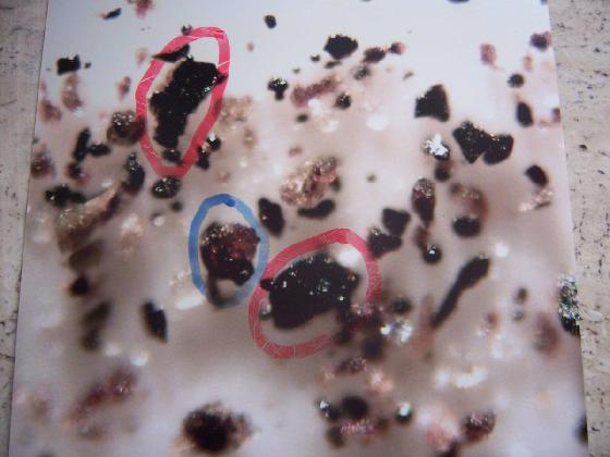 ECHT 18 19 DUNES MICROPARTICULES ECHT 18 19 DUNES MICROPARTICULES