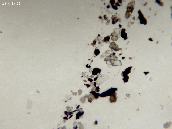 ECHT 40 B MICROPARTICULES ECHT 40 B MICROPARTICULES