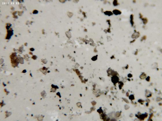 ECHT 54 B MICROPARTICUES ECHT 54 B MICROPARTICUES