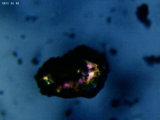 Troixième micro grain analyse polarisée Troixième micro grain analyse polarisée