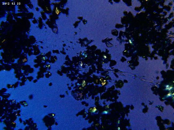 ECHT B58 MICROPARTICULES LPA ECHT B58 MICROPARTICULES LPA