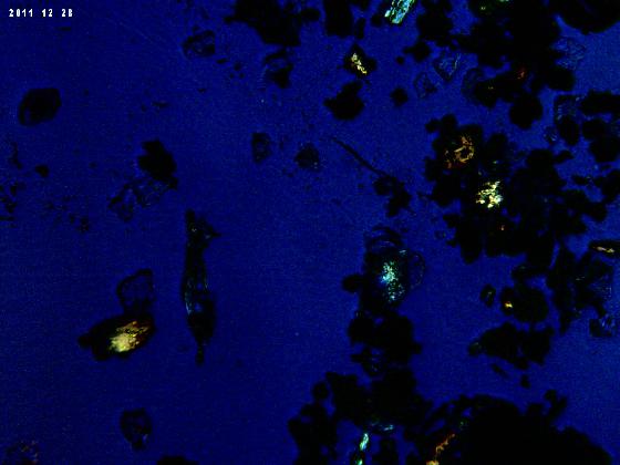 ECHT 59B MICROPARTICULES EN LPA ECHT 59B MICROPARTICULES EN LPA