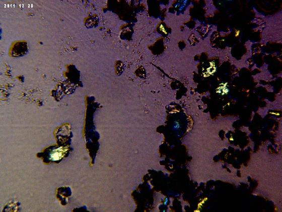 ECHT 59B MICROPARTICULES EN LPA ECHT 59B MICROPARTICULES EN LPA