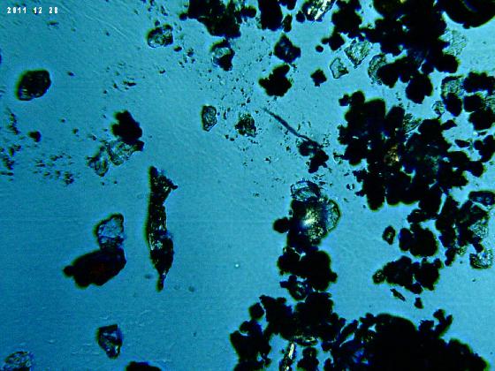 ECHT 59B MICROPARTICULES EN LPA ECHT 59B MICROPARTICULES EN LPA