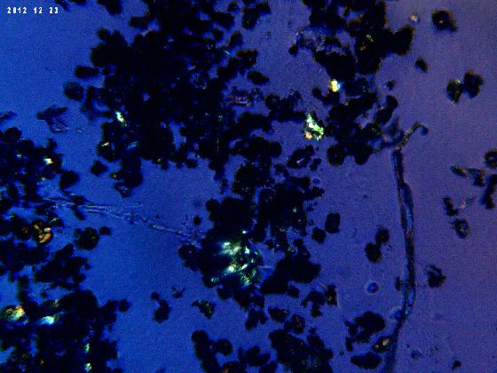 ECHT 58 B MICROPARTICULES EN  LPA