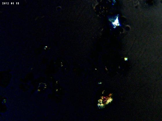 ECHT 6O B MICROPARTICULES LPA 