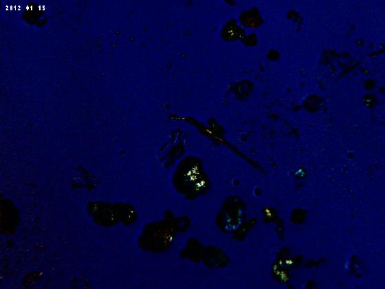 ECHT 60 B MICROPARTICULES  LPA 