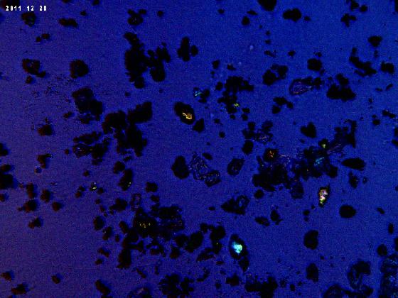 ECHT 59B MICROPARTICULES EN LPA