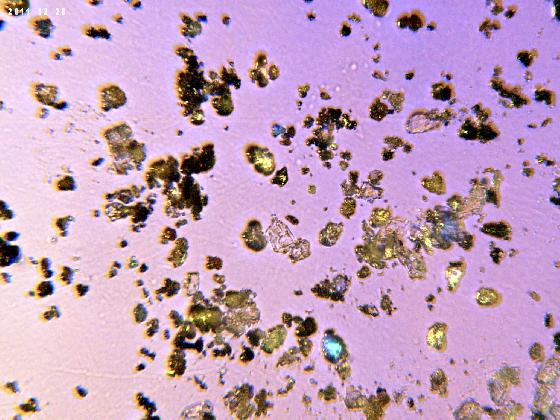 ECHT 59 B MICROPARTICULES  2