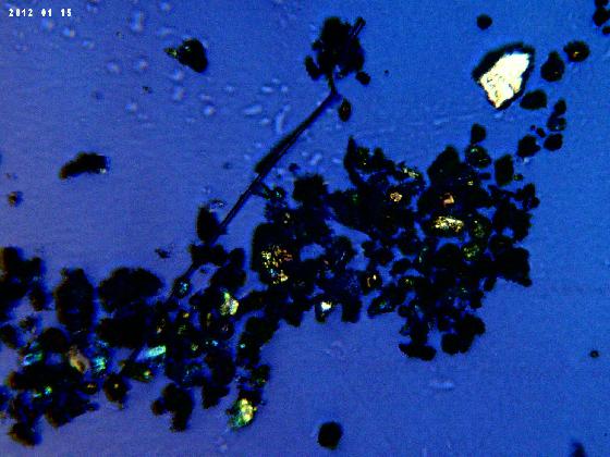 ECHT 6O B MICRPARTICULES LPA 