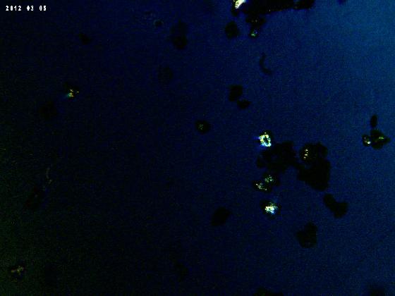 ECHT B 62 MICROPARTICULES LPA 