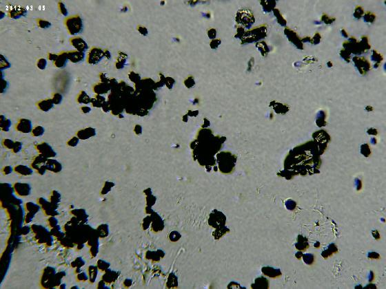 ECHT B 62 MICROPARTICULES 