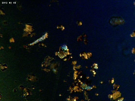 ECHT 62 B MICROPARTICULES 