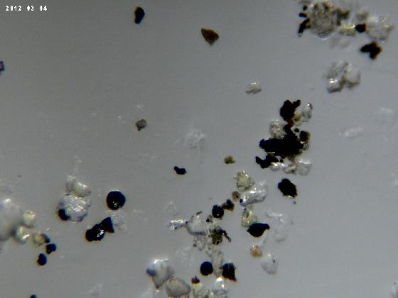 ECHT 63 B MICROPARTICULES 