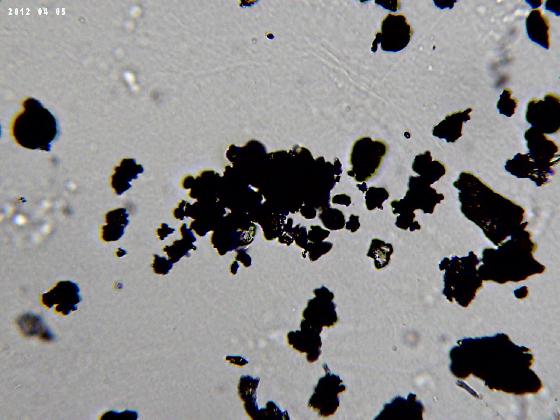 ECHT 66 B MICROPARTICULES 