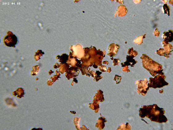 ECHT 66 B MICROPARTICULES 