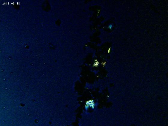 ECHT 64 B MICROPARTICULES