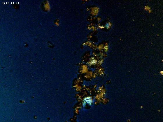 ECHT 64 B MICROPARTICULES 