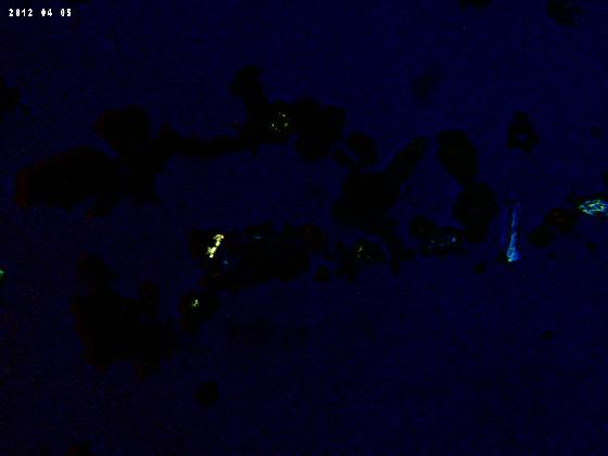 ECHT 65 B MICROPARTICULES  LPA