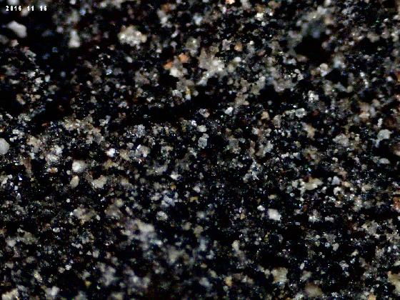 Calcaire croûte noire au microscope 1 Calcaire croûte noire au microscope 1