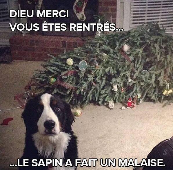 malaise malaise