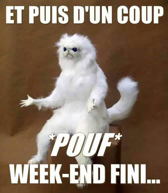 pouf pouf