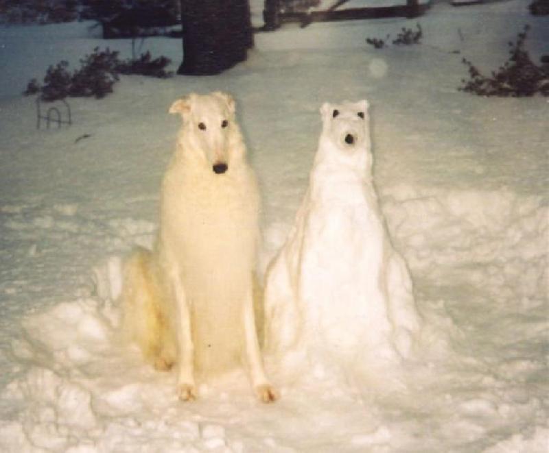 chien chien