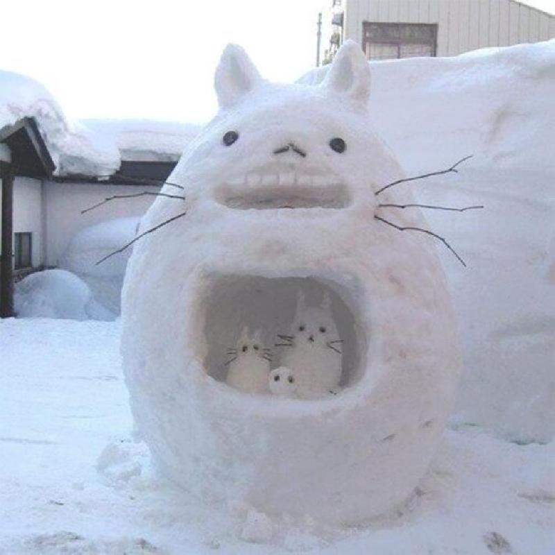 totoro totoro