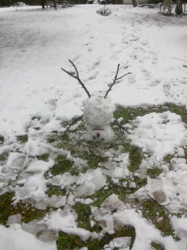 bonhomme1