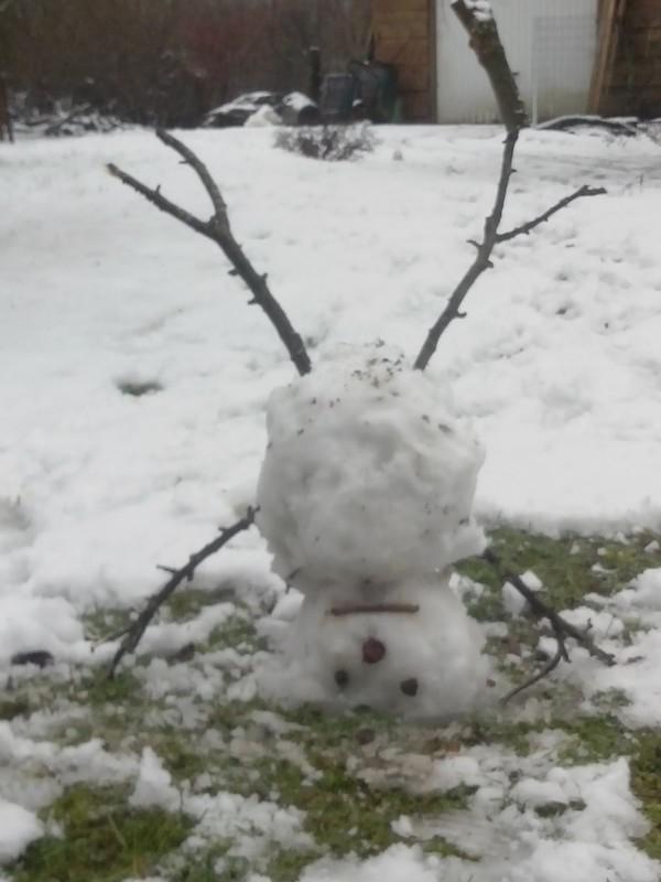 bonhomme2