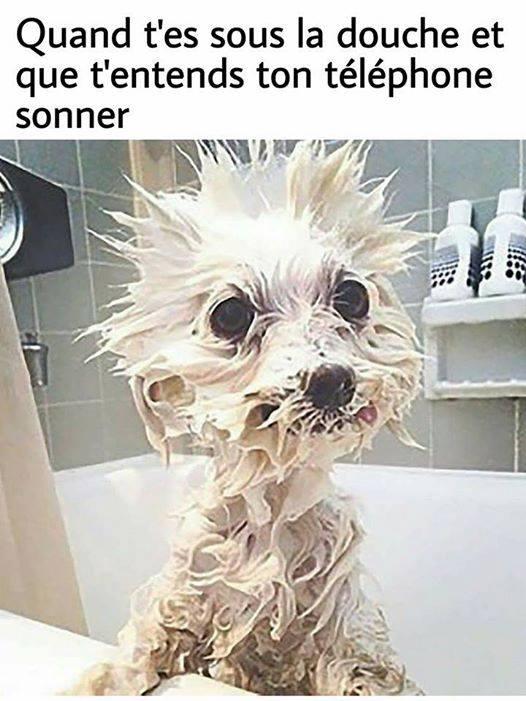 douche