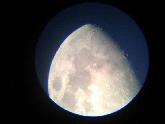 lune lune