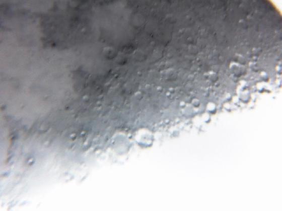 lune 114/900 ( negatif )