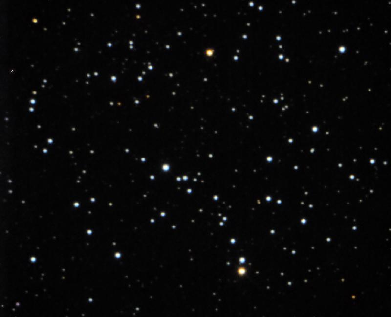 M35 M35